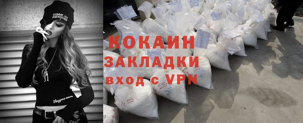 молекула духа Арсеньев