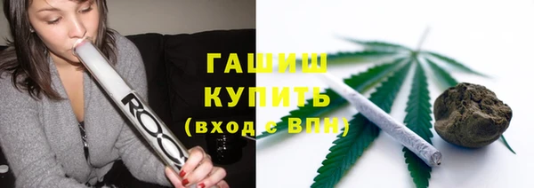 молекула духа Арсеньев