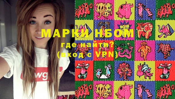 молекула духа Арсеньев