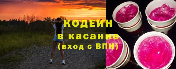 молекула духа Арсеньев